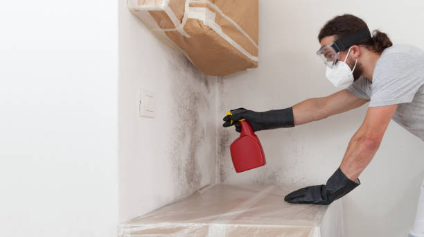 Professional Mold Inspection And Testing technician working in Central City, IL